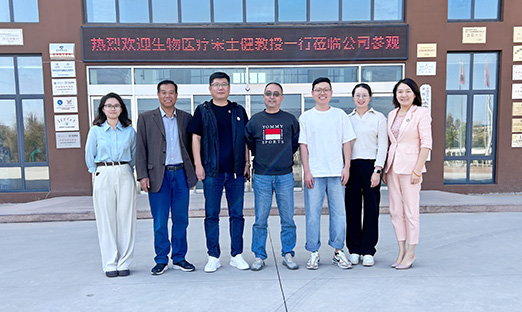 创新驱动科技，赋能产业发展